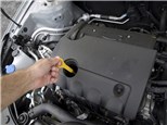 Engine Inspection: Lucas Tire & Auto Care