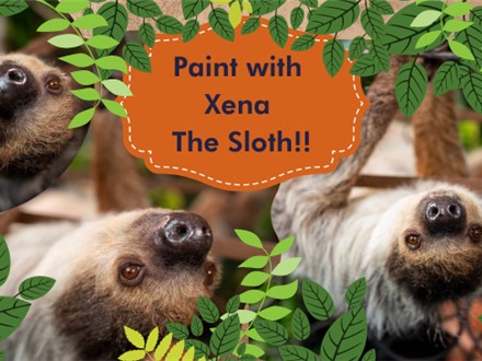 Paint with Xena the Sloth! - April, 3rd