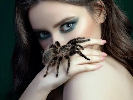 Paint with a Tarantula | Oct 19th 1-3pm