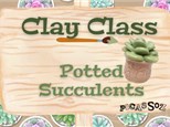 Clay Class - Potted Succulents 