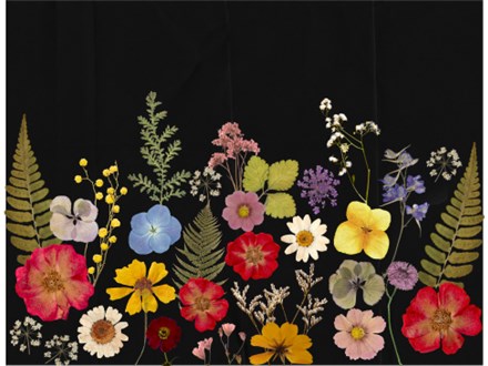 Pressed Floral Art - Friends over Fifty!