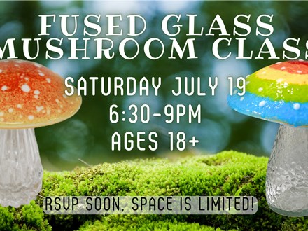 Fused Glass Mushroom Class! July 2025