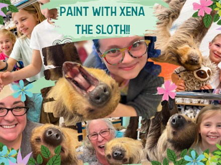 Paint With Xena the Sloth! - Feb,18th