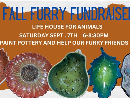 FALL  Pottery"FUN"draising event for our Furry Friends @ LIFE House