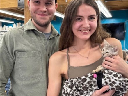 Paint with Kittens | Oct 18th 1-3pm