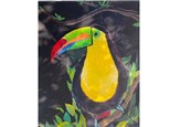 Toucan in Shade 