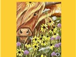 Hello Highland Canvas Paint and Sip