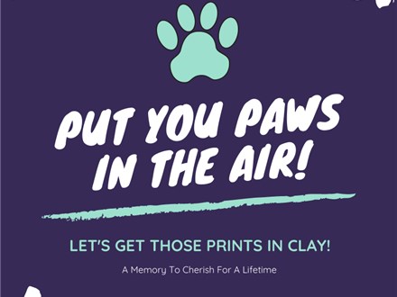 Clay Paw Prints 
