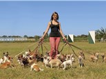 Pet Sitting: The Pawfessionals Dog Walkers & Pet Sitters – NYC