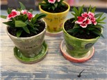 Kids Morning Out: Mother's Day Planters Project, Saturday, May 4, 9:30-11AM