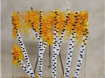 Birch Tree Glass Birch Tree Glass