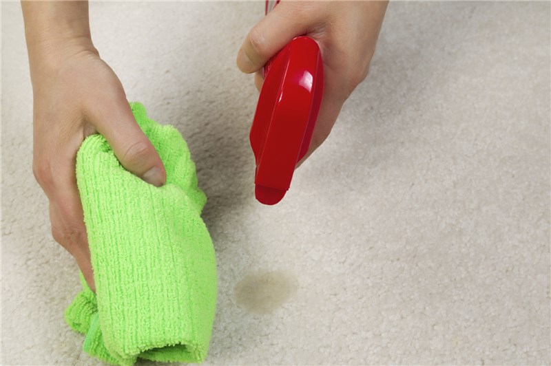 Breen Cleaning & Maintenance - Carpet Cleaning Service
