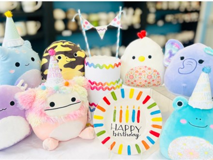 Squishmallow Birthday Party Kids Camp