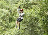 Corporate Event: EMPOWER Zip Line Canopy Tours
