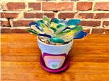 You Had Me at Merlot - Sea Glass Succulent - Decor - July 17th - $28
