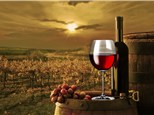 Private Events: Dakota Creek Winery