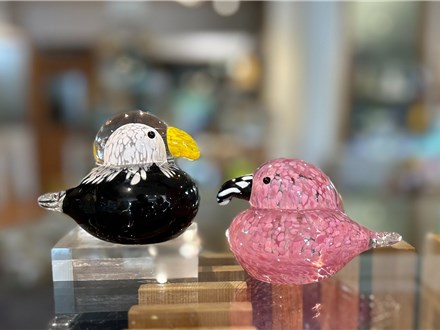 Exotic Bird Solid Glass Experience - Saturdays in August