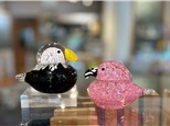 Exotic Bird Solid Glass Experience - Saturdays in August - FULL