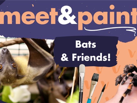 Paint With Live Bats - October 19th