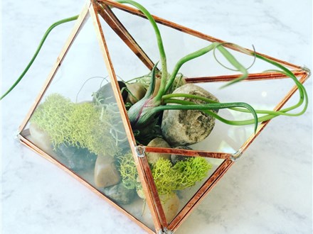 Soldered Glass Terrarium