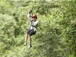 Weekend Canopy Tour