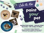 Paint Your Pet Night