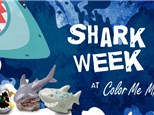 Shark Week Themed Kids Night Out! Friday,  August 16th