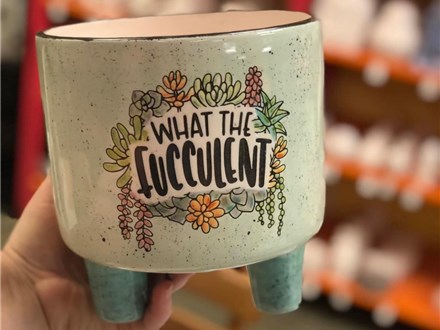 You Had Me at Merlot - Potty Mouth Planters - Event - April 5th - See Details