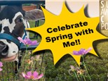 Paint with Boone the Mini Cow! -Spring Celebration