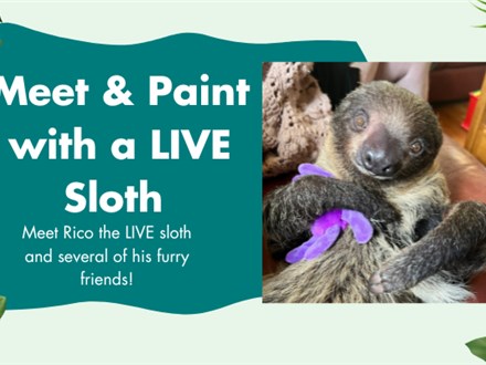 Paint with a LIVE sloth, Rico! Sunday, September 28th, 6pm