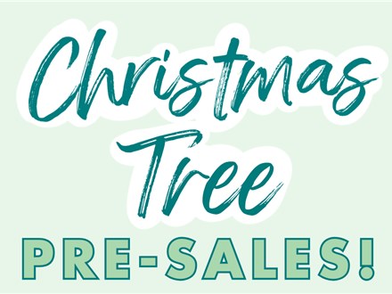 Pre-Order Vintage Christmas Trees!