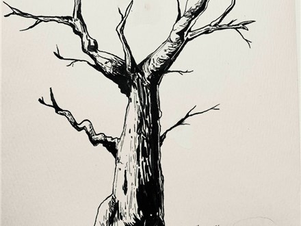 "Haunted Tree" Inking Illustration Class Ages Teen+ 10/26/24