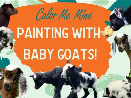 Painting with Baby Goats! - July, 26th