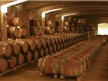 Group Tasting: Snoqualmie Vineyards Winery