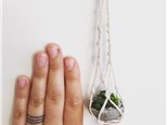 DIY Mini Succulent Hanger
