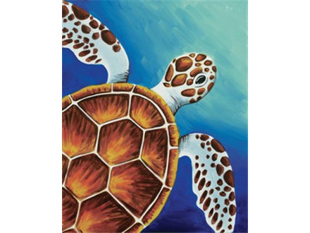 Sea Turtle Canvas Class - July 24 - $40/Ticket 