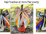 Fall Pumpkins and Bow Bar at Seven Mile Winery