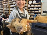 Paint with Piglets | May 3rd