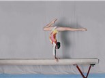 Parties: ASI Gymnastics Mesquite