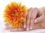 Manicure and Pedicure: Celfie Nails Spa