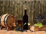 Group Tasting: Apex Cellars Winery