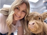 Paint Night with Mini Highland Cows at the Edmonton EXPO