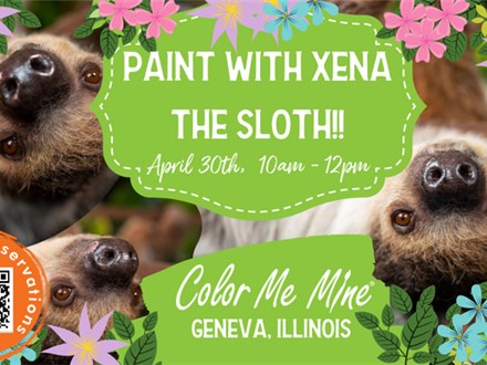 Paint With Xena The Sloth - Apr, 30th