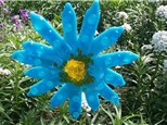 Blue Daisy Fused Glass Garden Stake