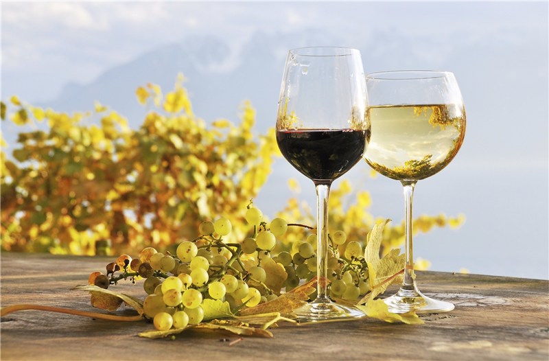 Lopez Island Vineyard & Winery