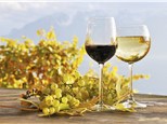 Group Tasting: Terra Blanca Winery