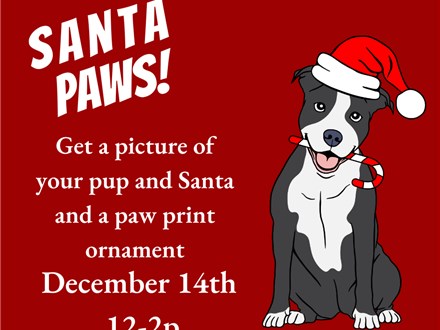 Santa Paws at KILN CREATIONS