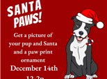 Santa Paws at KILN CREATIONS