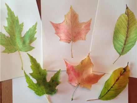 Watercolor Painting 