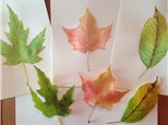 Watercolor Painting 